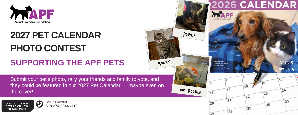 2027 Pet Calendar Photo Contest